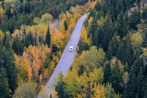 A white vehicle drives along a winding road surrounded by a dense forest of colorful autumn foliage, featuring shades of yellow, orange, and green.